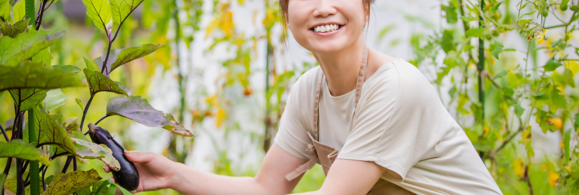 徳島県の女性の結婚観と効果的なアプローチ方法